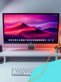 Shein’s range of computer accessories for remote work