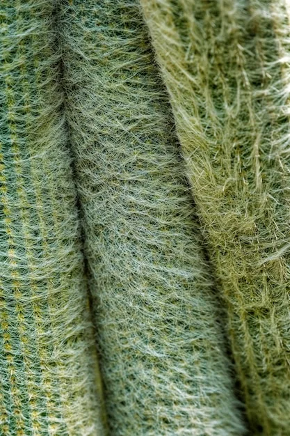 A close-up shot of different types of cotton fabrics (voile, lawn, muslin) showing their textures. The image focuses on the light and airy weaves suitable for summer clothing.