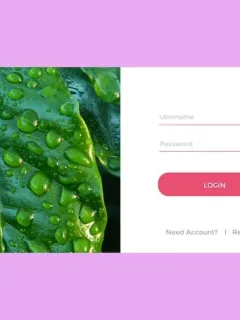 SHEIN Email Sign-Up Bonus: Your Discount Awaits! - Cover Image