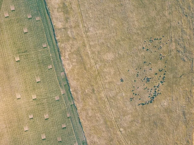 5G Expansion: Revolutionizing Rural Broadband Access in the US (2025 Analysis) - Cover Image
