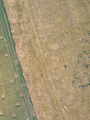 5G Expansion: Revolutionizing Rural Broadband Access in the US (2025 Analysis) - Cover Image