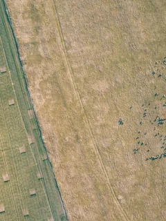 5G Expansion: Revolutionizing Rural Broadband Access in the US (2025 Analysis) - Cover Image