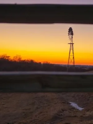 The Impact of 5G on Rural Broadband Access in the US: A 2025 Analysis - Cover Image