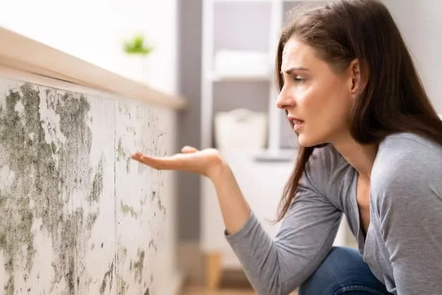 A close-up of a person inspecting a visible patch of mold growing on a damp wall in a basement, using a flashlight for better visibility. The focus is on identifying the source of moisture and the type of mold present.
