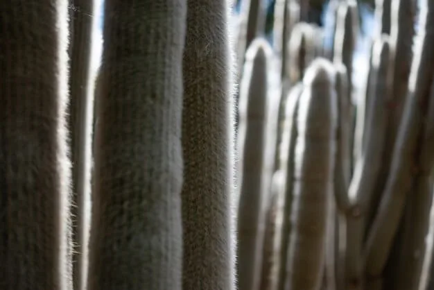 A close-up of a tightly woven linen fabric, showing individual threads and a subtle texture, illuminated by soft natural light.